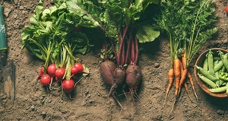 Produtos Agrícolas