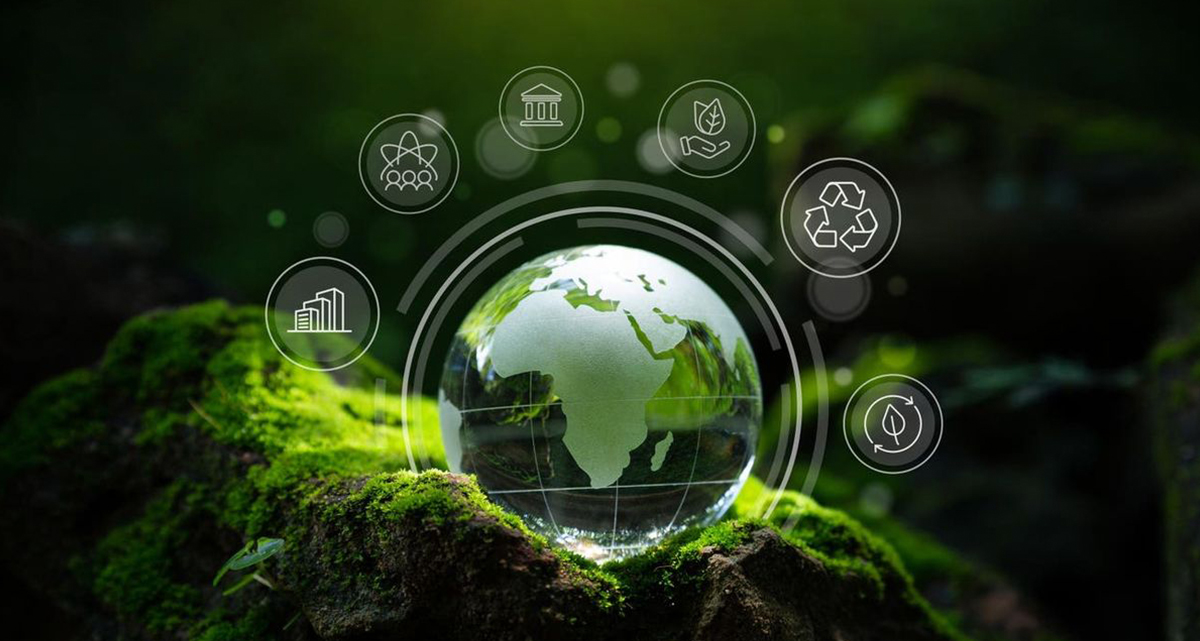 Instituto de Pesquisa de Tecnologia de Liofilização Sieno (Jiangsu) Co., Ltd