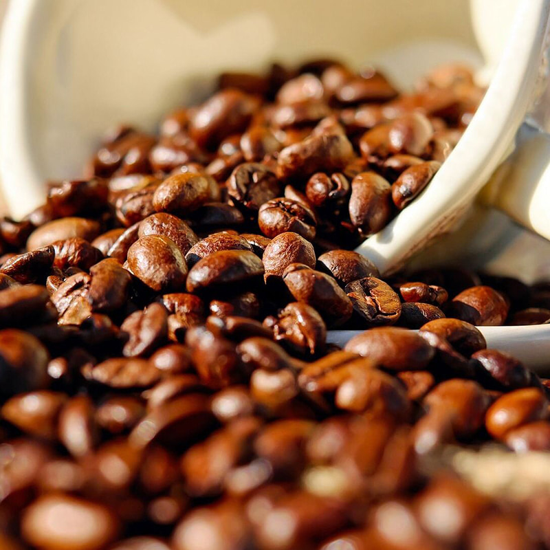Equipamento de liofilização de café