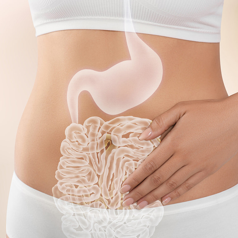 Centrífuga de baixa temperatura para produtos liofilizados para saúde gastrointestinal
